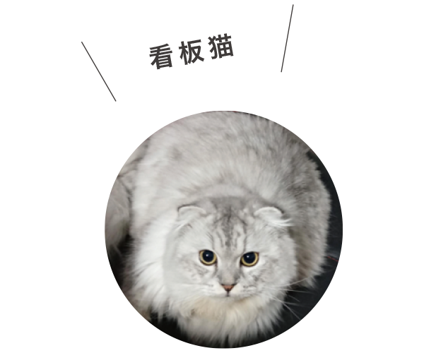 ŔL